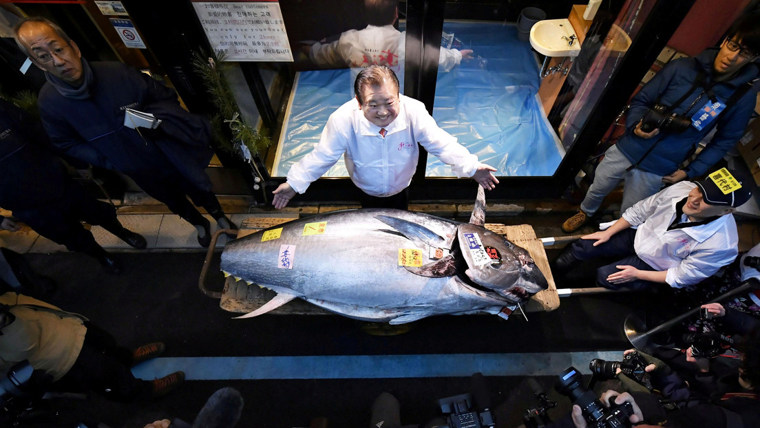 El 'rey del atún' gana una subasta al pagar 1,8 millones de dólares por un ejemplar (VIDEO)