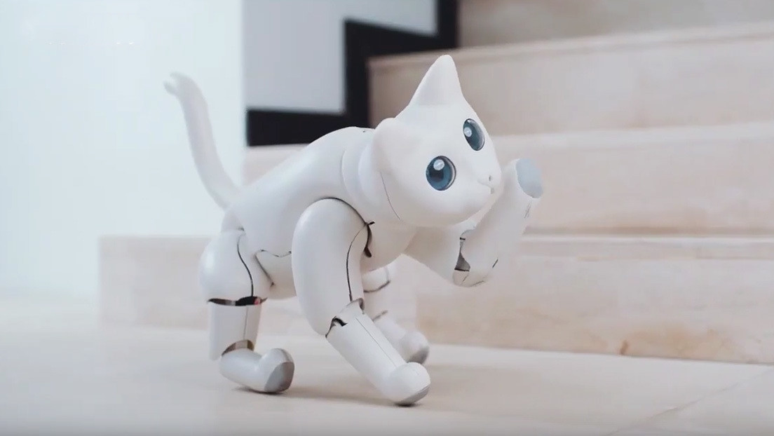 Presentan a MarsCat, la gata robótica que puede ser juguetona o ignorar a su dueño según cómo la trate