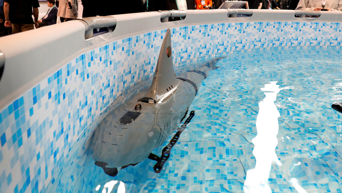 VIDEOS, FOTOS: Crean un tiburón robótico para fines militares pero lo que realmente interesa es que es precioso