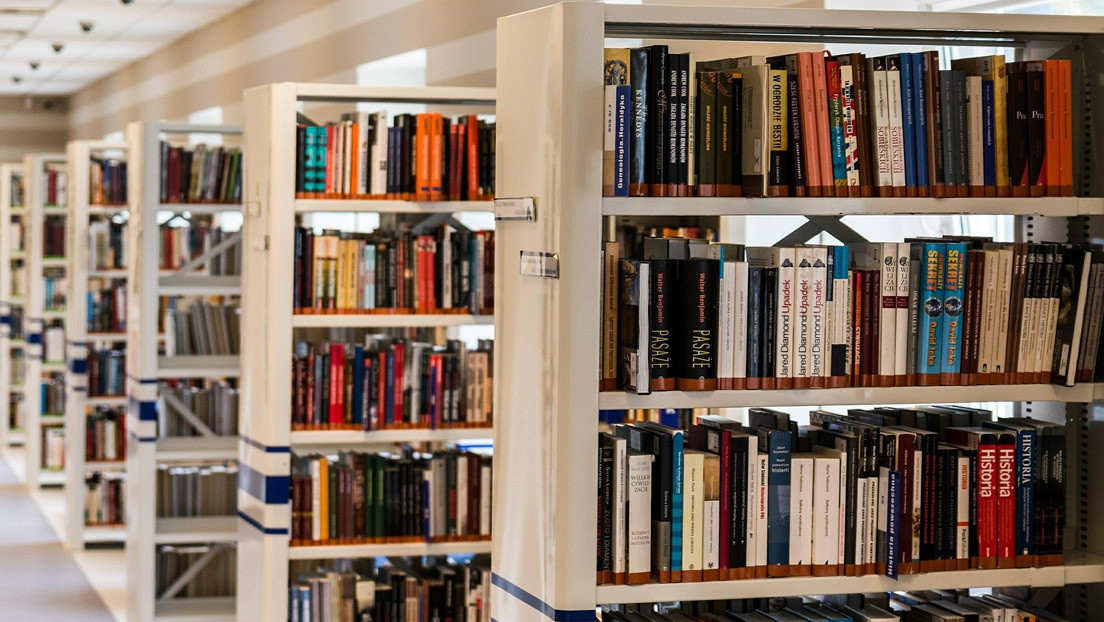 Queso 'marcalibros' se viraliza en Twitter tras desatar el asombro de un bibliotecario (IMÁGENES)