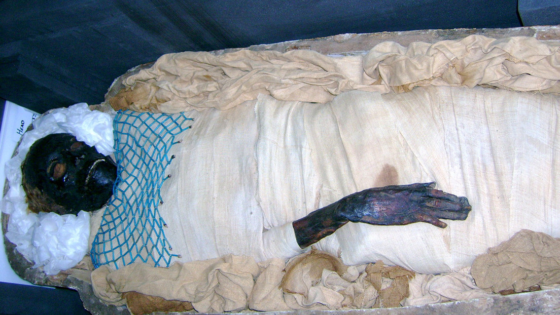 Descubren que una momia fue víctima de un asesinato a puñaladas y que su anatomía tenía varias insólitas rarezas