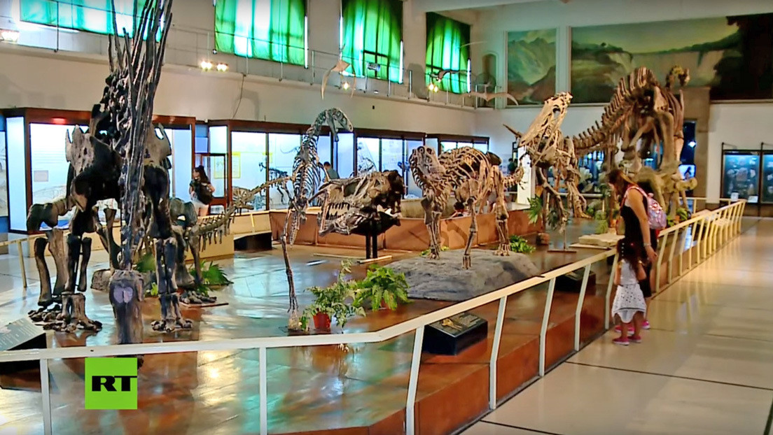 VIDEO: Descubren en Argentina los fósiles de los últimos dinosaurios que poblaron la Tierra