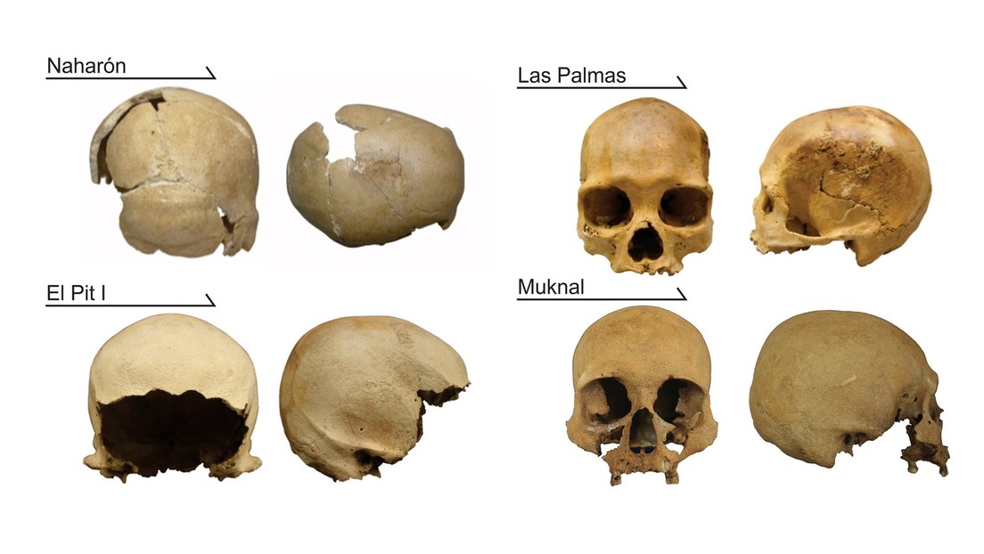 Descubren en México cráneos que evidencian la sorprendente diversidad de los primeros pobladores de América del Norte