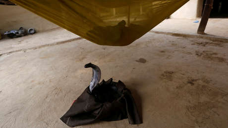 Graba a una cobra vomitando una botella de plástico y reabre el debate sobre la contaminación en la India (VIDEO)