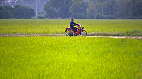 Un motociclista sobrevive 13 noches en el bosque tras escapar de la Policía y chocar contra un árbol