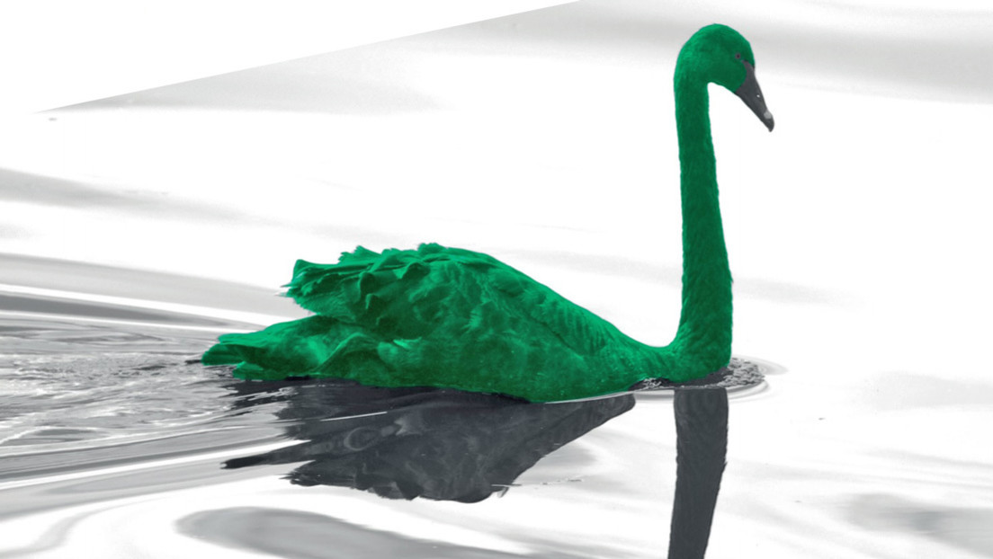 ¿Nos espera un 'cisne verde'? El Banco de Pagos Internacionales advierte sobre las posibles causas de la futura crisis global