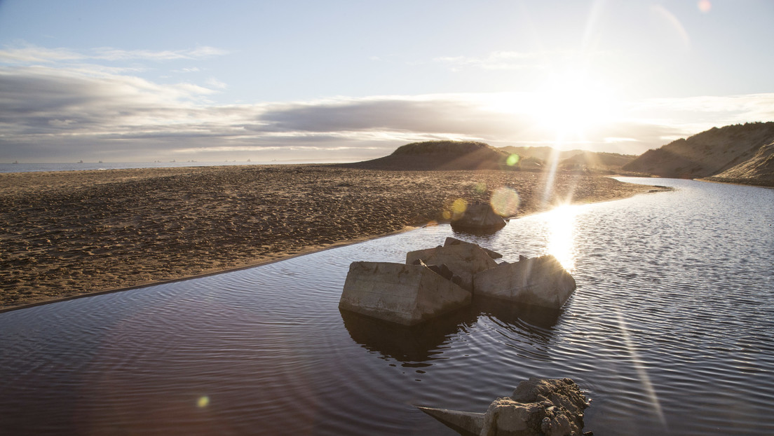 FOTO: El hallazgo de un enorme esqueleto en una playa de Escocia