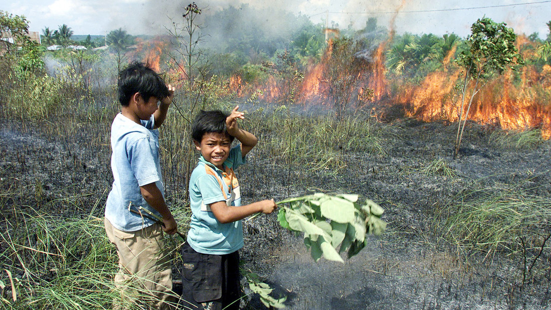 La ONU y la OMS alertan del peligro "inmediato" que el cambio climático y la mala alimentación suponen para todos los niños