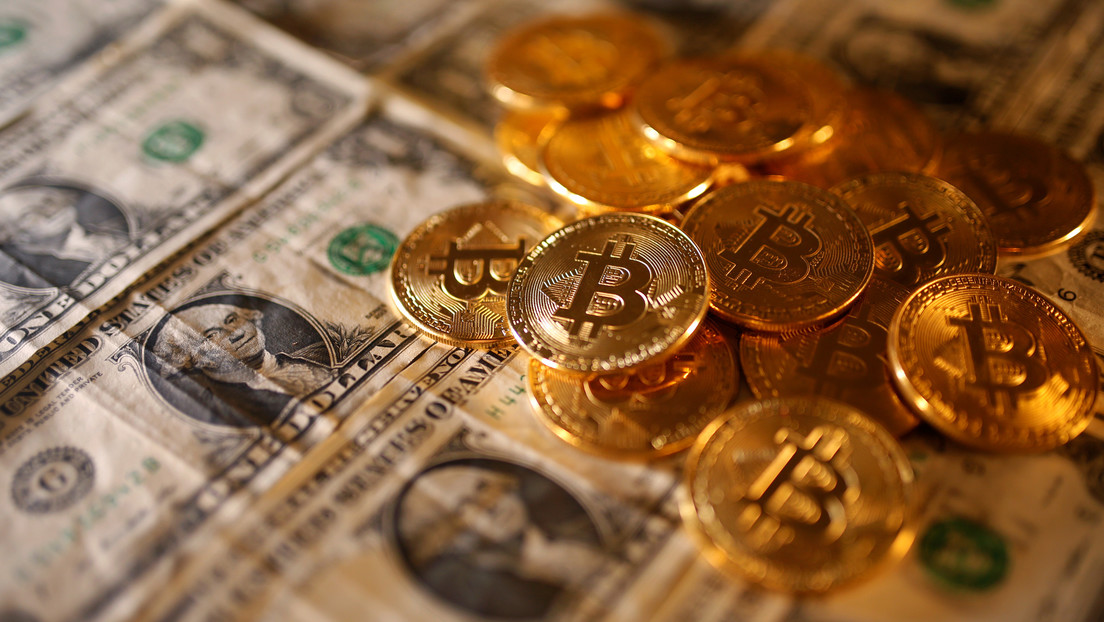 Un narcotraficante pierde 58 millones de dólares en bitcoines porque su casero tiró las contraseñas a un vertedero sin darse cuenta