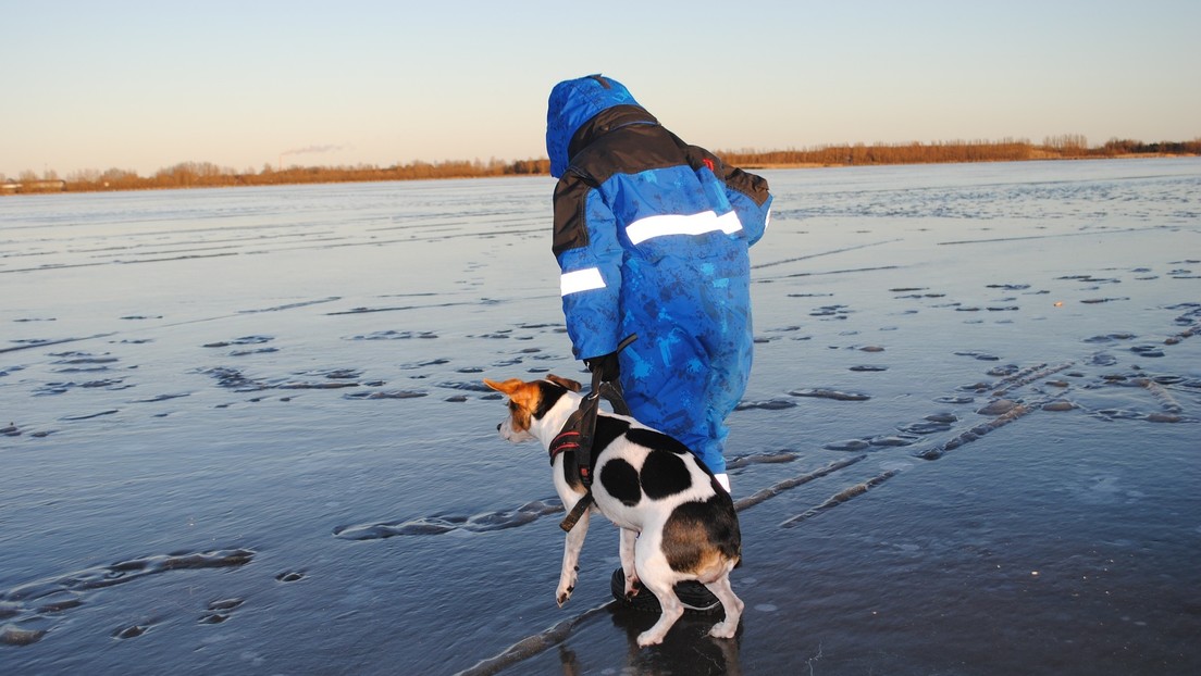 VIDEO: Una madre salta a un estanque helado para rescatar a su perro en Rusia