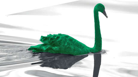 ¿Nos espera un 'cisne verde'? El Banco de Pagos Internacionales advierte sobre las posibles causas de la futura crisis global