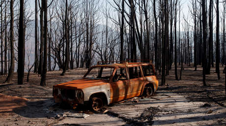 Un exjugador de rugby quema vivos a su exmujer y a sus tres hijos dentro de un coche y luego se suicida clavándose un cuchillo