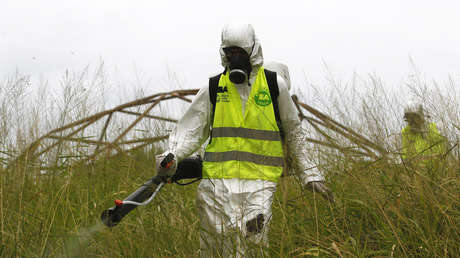 El nerviosismo mediático en Argentina se desata por el coronavirus, ¿pero por qué no se habla de dengue y sarampión?