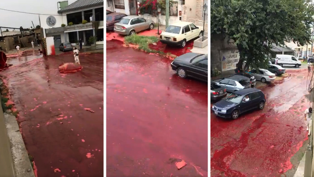 VIDEO: Un barrio argentino es inundado de unos 500.000 litros de sangre animal tras reventarse un tanque de un matadero
