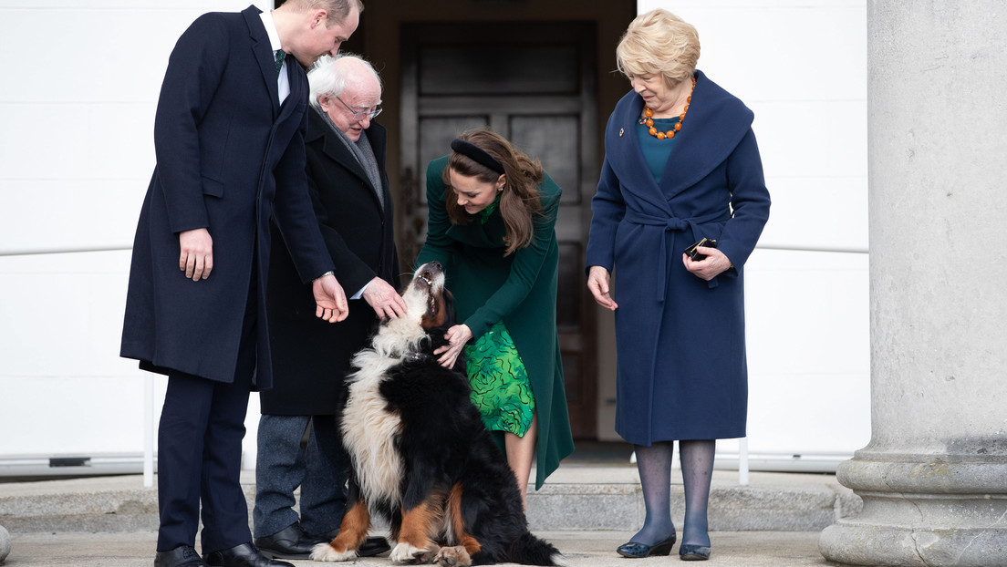 VIDEO: El perro del presidente de Irlanda interrumpe un evento oficial para que su amo le rasque la panza