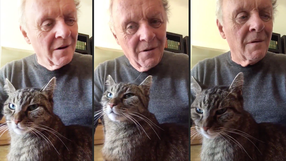 "Me exige que le entretenga": Anthony Hopkins toca el piano para su gato durante la cuarentena