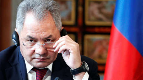 El ministro de Defensa ruso aborda la distensión y reconstrucción de Siria en una reunión con Bashar al Assad (VIDEO)