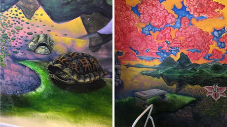 FOTOS: Descubre un enorme mural oculto en su casa luego de que su gato arrancara el empapelado