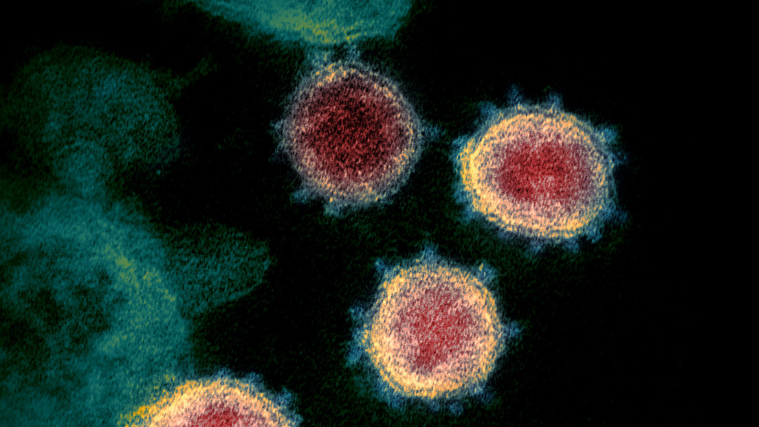 Científicos argentinos logran secuenciar el genoma completo del nuevo coronavirus SARS-COV-2