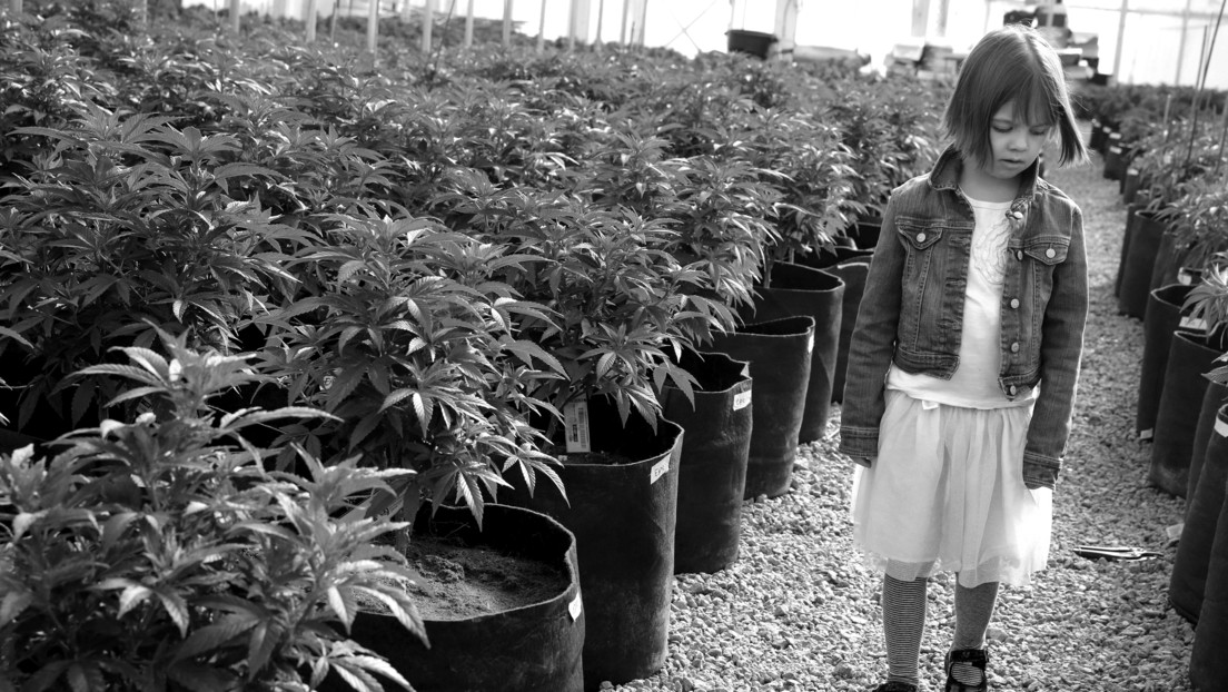 Muere Charlotte Figi, la niña de 13 años que inspiró un aceite de cannabis medicinal contra las convulsiones