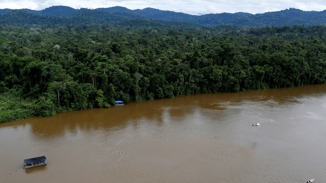 En la Amazonia se crearon "islas de bosque artificial" hace más de 10.000 años