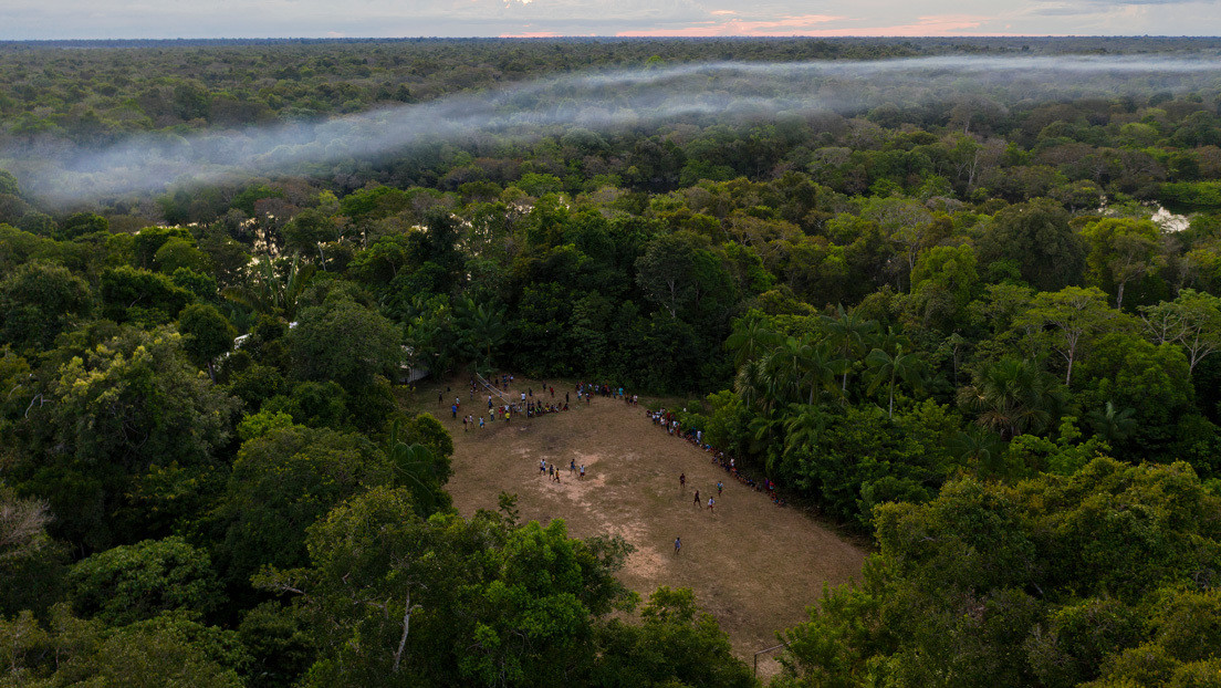 Cómo los invasores ilegales aprovechan la cuarentena en una Amazonia brasileña blindada por el coronavirus