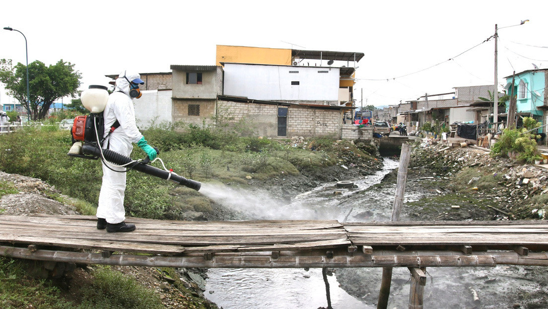 Ecuador eleva la cifra de muertos por coronavirus a 388 y los contagiados ya son 7.858