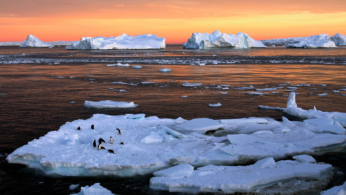 Encuentran por primera vez microplásticos en el hielo de la Antártida
