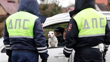 Moscú activará un sistema de control del autoaislamiento en caso de un desarrollo "desfavorable" de la epidemia