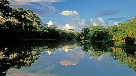 Dientes hallados en Perú demuestran que una especie de mono extinta cruzó el Atlántico desde África hace 34 millones de años