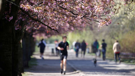 Un ministro alemán afirma que "todo el mundo" les envidia por la gestión del coronavirus
