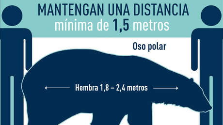 FOTOS: ¿Cuántos osos, renos, canguros o perros salchicha debe haber entre dos personas para mantener el distanciamiento social durante la pandemia?
