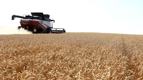 Rusia suspende la exportación de cereales