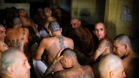 VIDEO: Bukele muestra imágenes de pandilleros comunicando órdenes al exterior y justifica su decisión de sellar las celdas