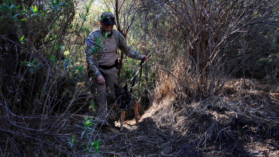 Hallan una fosa clandestina con 25 cuerpos en el estado mexicano de Jalisco