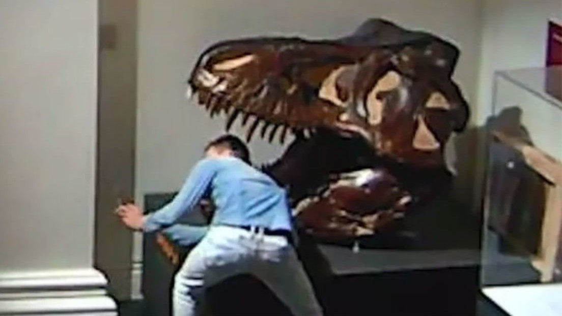 Entra ilegalmente en un museo y hace un selfi con el cráneo de un dinosaurio  - RT