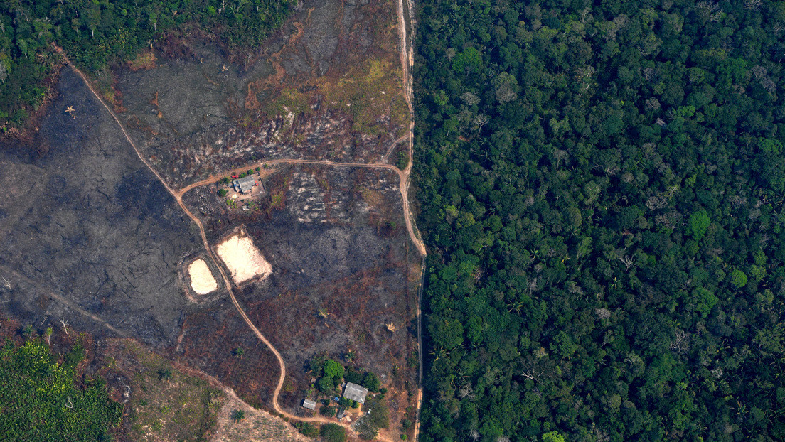 Un estudio advierte que la deforestación de la Amazonía en abril fue la mayor en 10 años