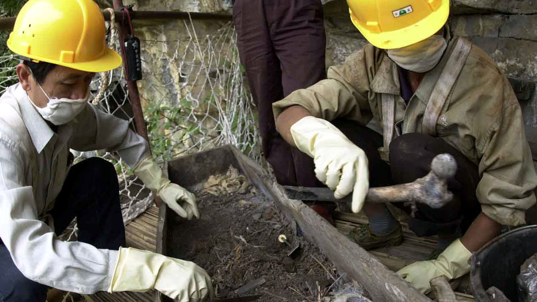 Desentierran en China un recipiente en forma de cisne y con un líquido desconocido de 2.000 años de antigüedad (FOTOS)