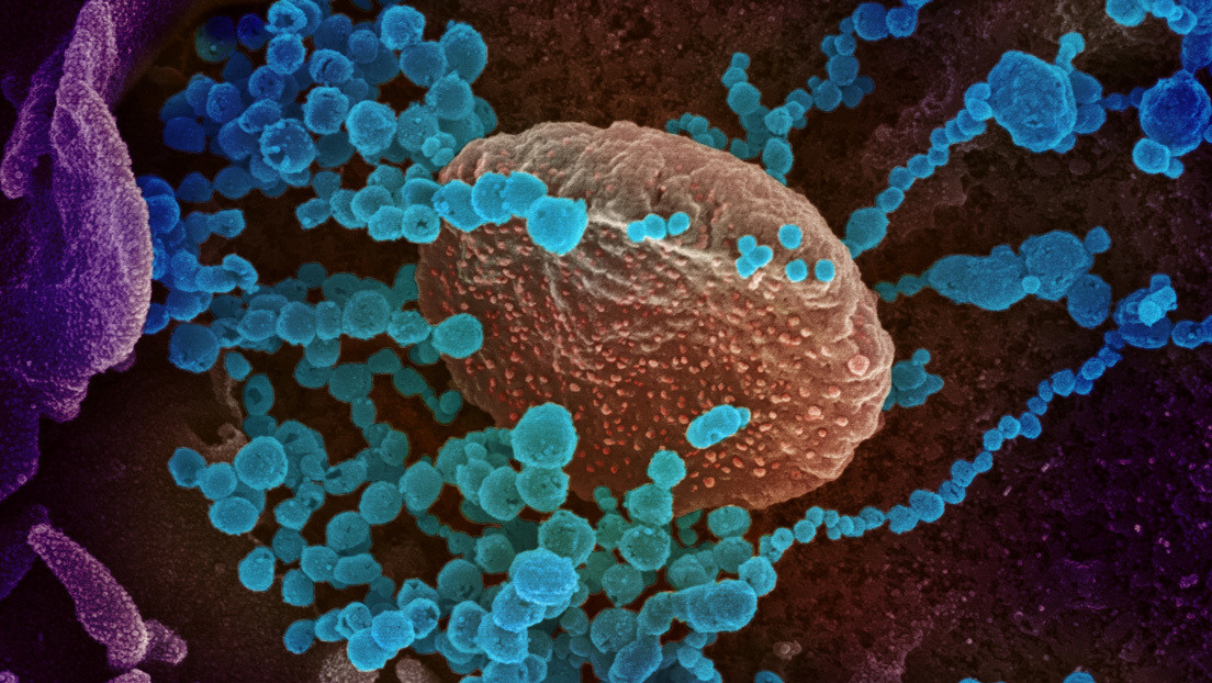 Un estudio descubre que las mutaciones del coronavirus no favorecen su propagación