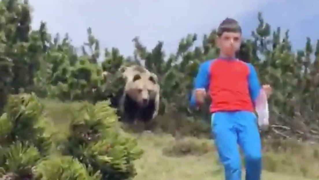 VIDEO: Un niño muestra qué hacer cuando un oso lo persigue en un valle de Italia