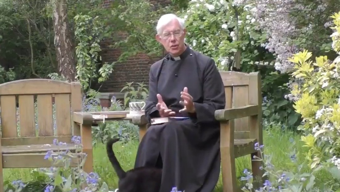 VIDEO: Un gato desaparece bajo la sotana de un sacerdote en pleno sermón