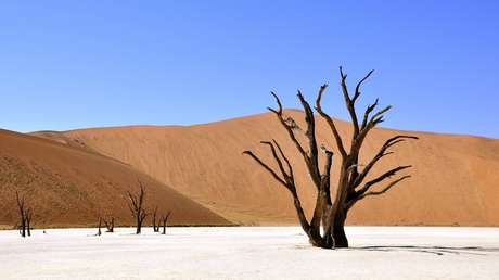 Predicen que hasta 3.500 millones de personas vivirán en un clima similar al del Sahara para 2070
