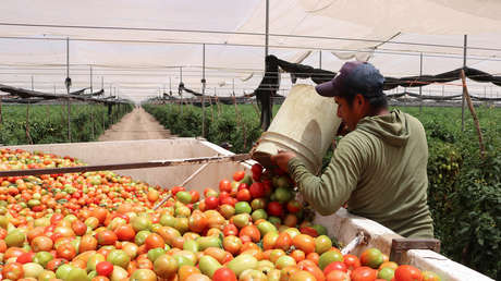 Banco de México estima que el país perdió hasta 700.000 empleos en abril