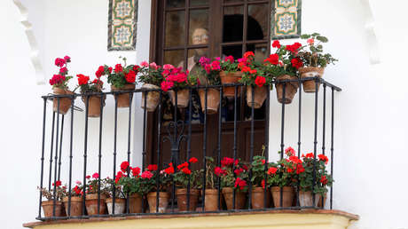 La persona más longeva de España se recupera del coronavirus a sus 113 años