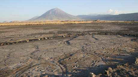 Huellas fosilizadas sugieren que las mujeres salían en grupo a buscar comida hace 19.000 años (FOTOS)