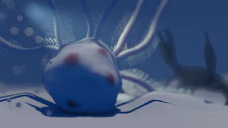 Descubren una inusual estructura en fósiles de hace 80 millones de años  que están relacionados con estrellas y erizos de mar