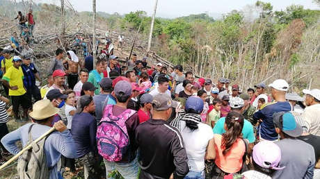 Muere un campesino y otros tres resultan heridos durante un operativo del Ejército para erradicar cultivos en Colombia