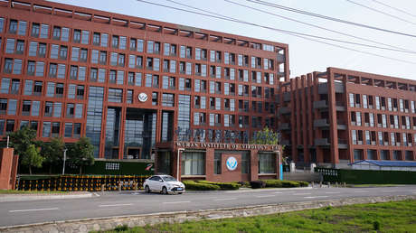 El laboratorio de Wuhan admite tener tres cepas vivas de coronavirus de murciélago, pero insiste en que ninguna es la fuente de la pandemia