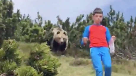 VIDEO: Un niño muestra qué hacer cuando un oso lo persigue en un valle de Italia