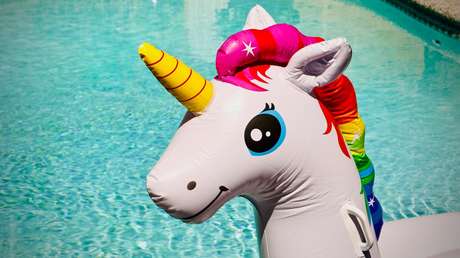 Graban audios únicos de las raras comunicaciones de los unicornios de mar